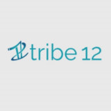 tribe12org