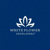 whiteflower01