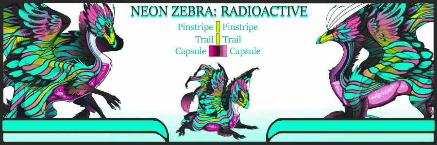 Pair-Card---Neon-Zebra-Radioactive.gif