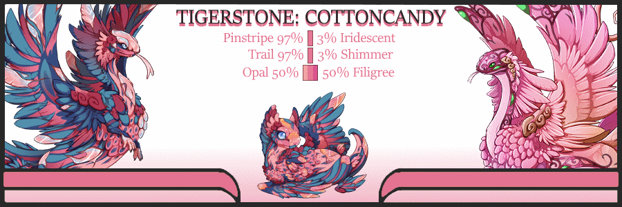 Pair-Card---Tigerstone-Cottoncandy.gif